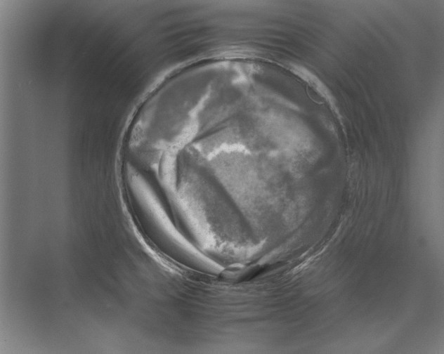 X0000075381429200610061827