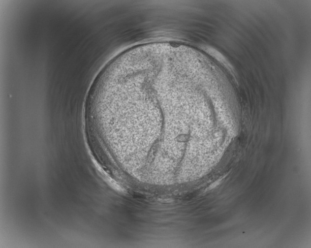 X0000075381431200610061827