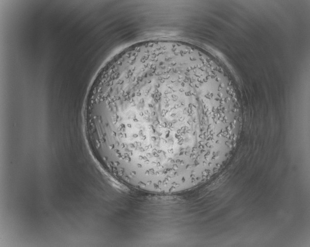 X0000075381432200610061827