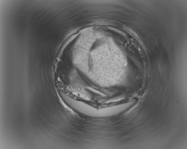 X0000075381433200610061827