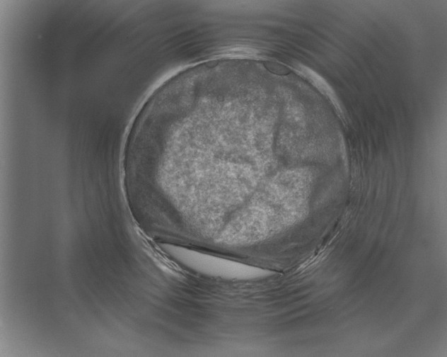 X0000075381435200610061827