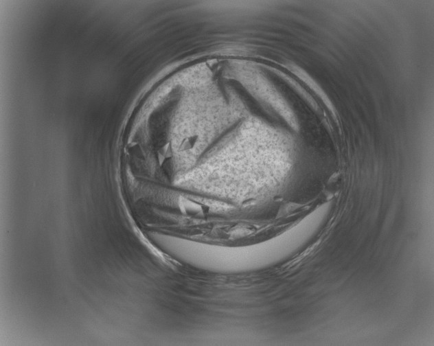 X0000075381437200610061827