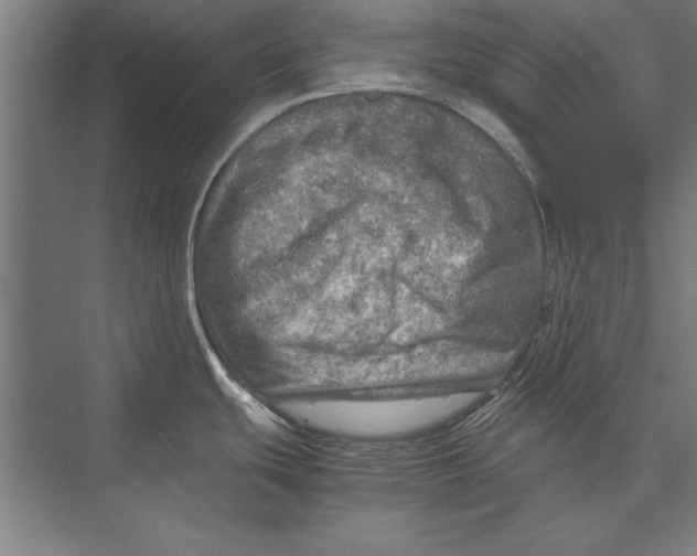 X0000075381439200610061827