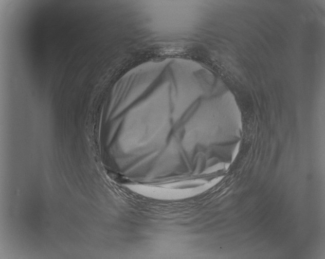 X0000075381441200610061826