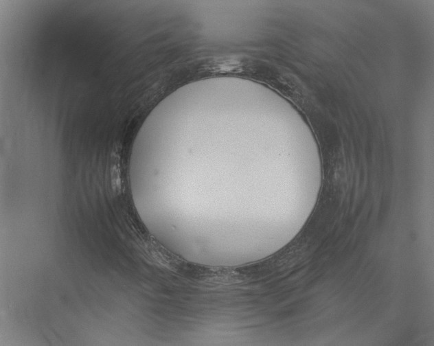 X0000075381442200610061826