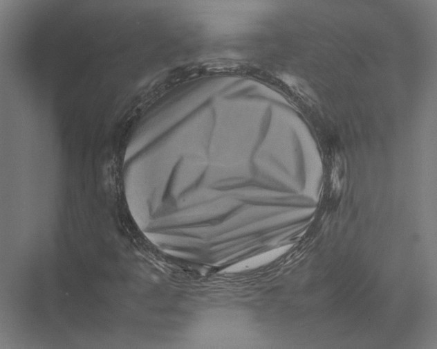 X0000075381445200610061826