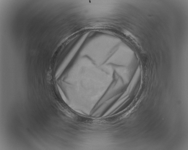 X0000075381449200610061826