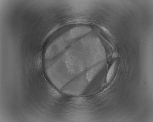 X0000075381450200610061826