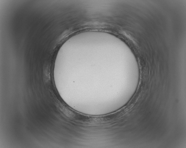 X0000075381451200610061826