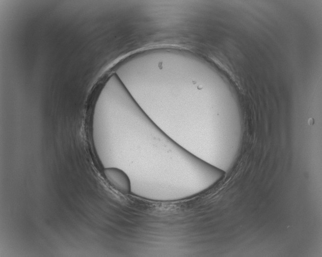 X0000075381452200610061826