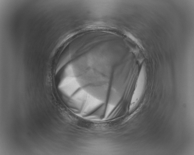 X0000075381453200610061826