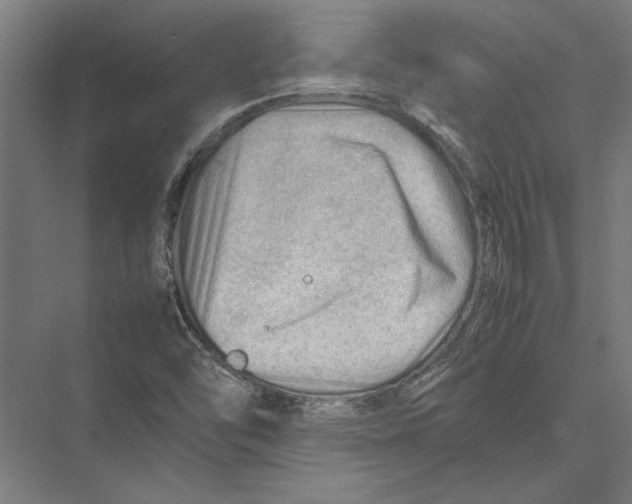 X0000075381454200610061826