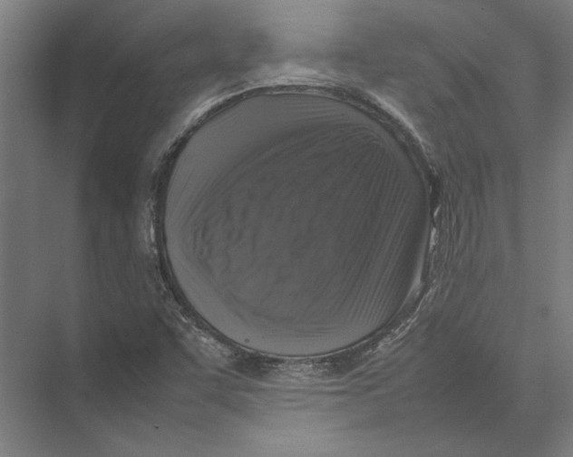 X0000075381455200610061826