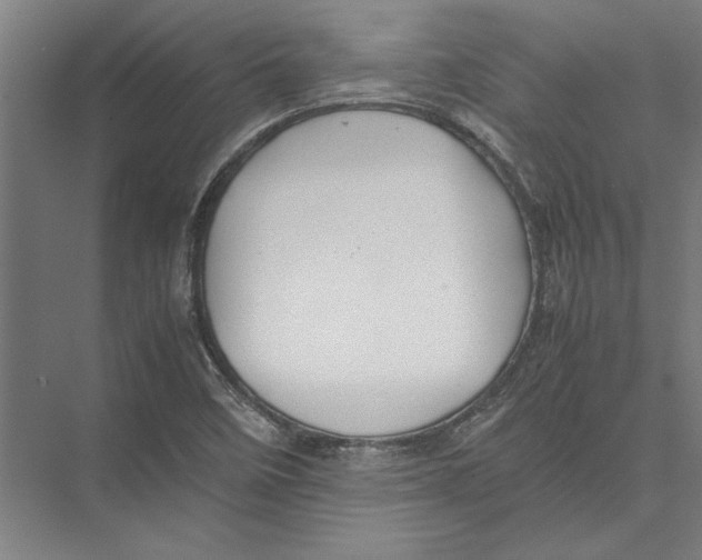 X0000075381458200610061826