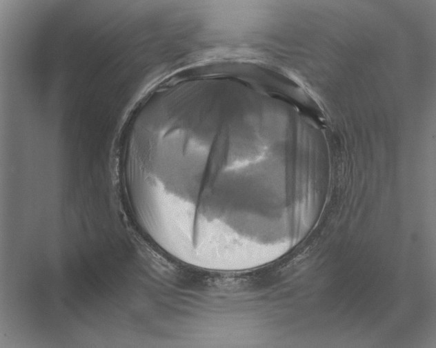 X0000075381459200610061826