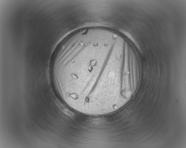 X0000075381460200610061826