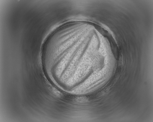 X0000075381464200610061826