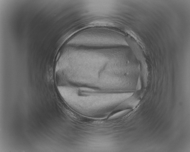 X0000075381465200610061826