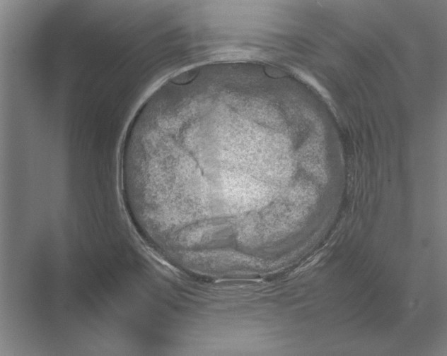 X0000075381467200610061826