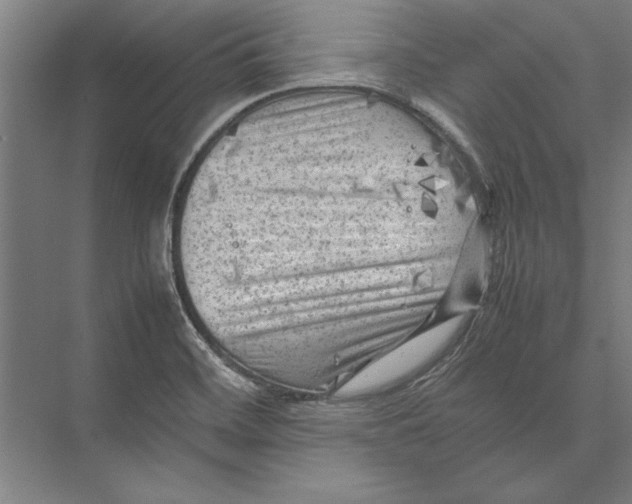 X0000075381468200610061826