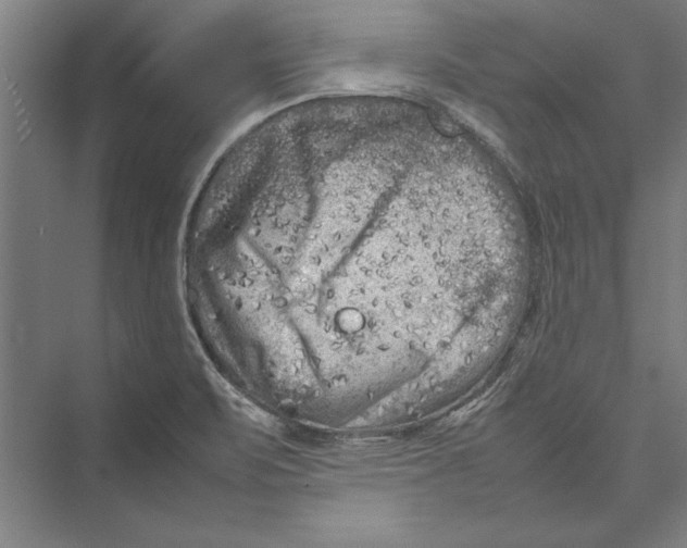 X0000075381471200610061826