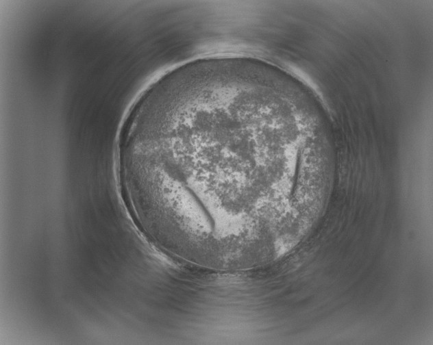 X0000075381472200610061826