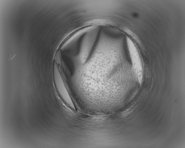 X0000075381473200610061826