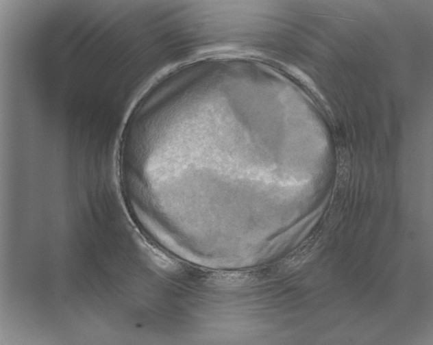 X0000075381474200610061826