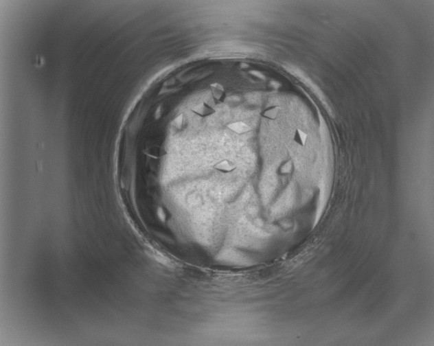 X0000075381477200610061826