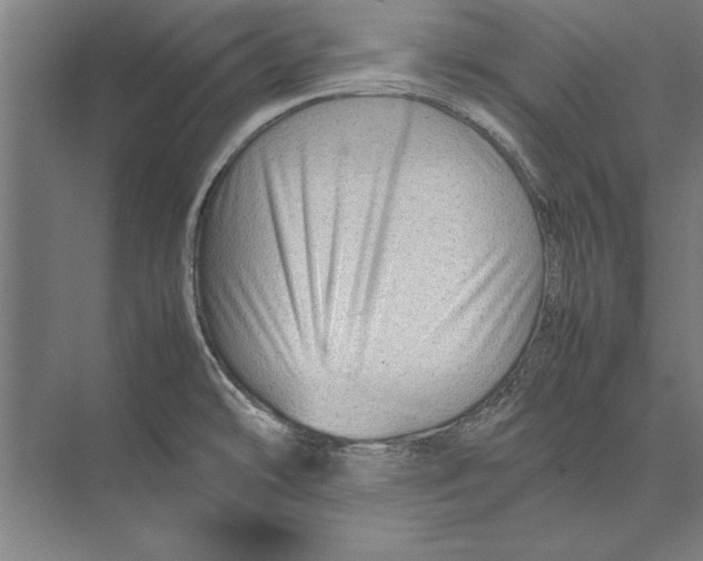 X0000075381478200610061826