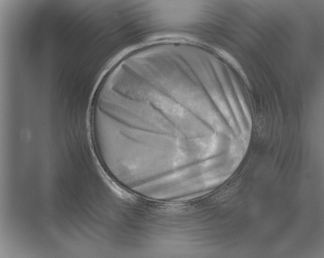 X0000075381482200610061826