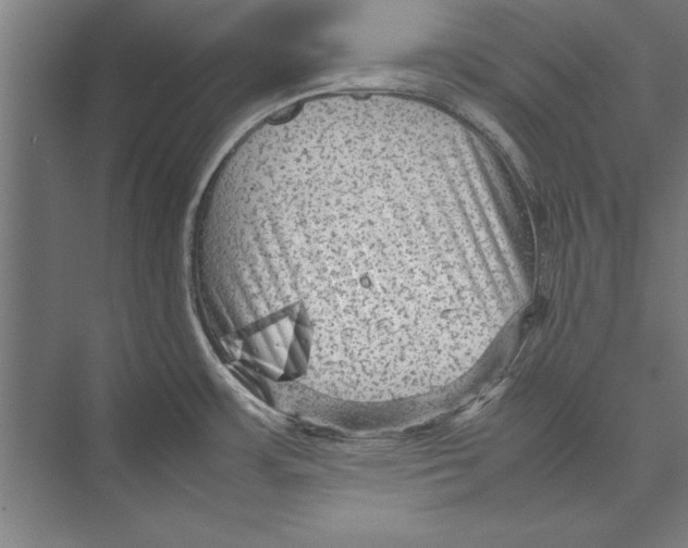 X0000075381483200610061826