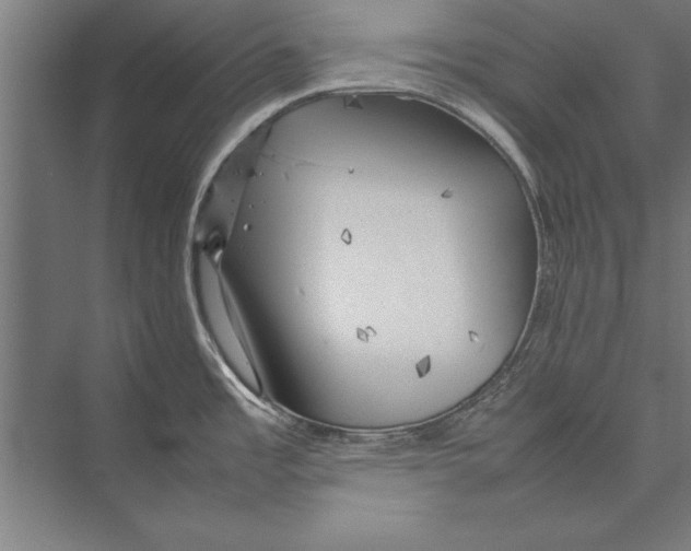 X0000075381485200610061826