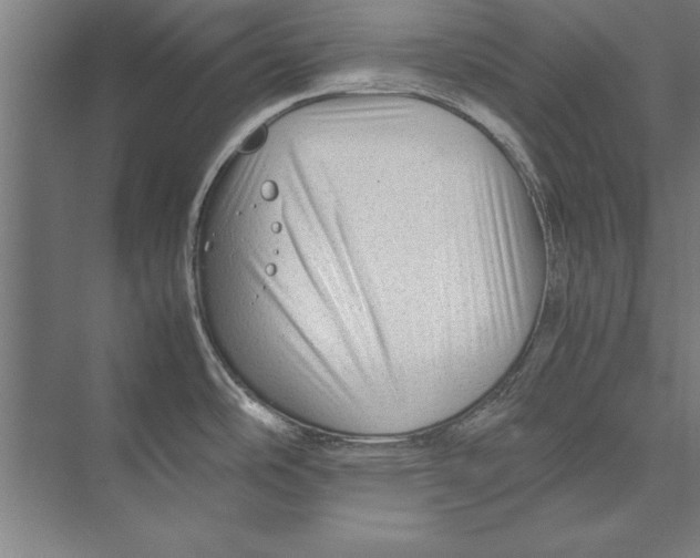 X0000075381486200610061826