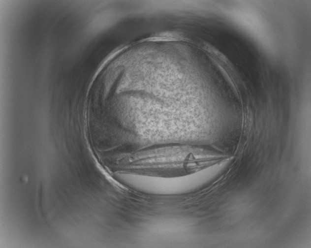 X0000075381487200610061826