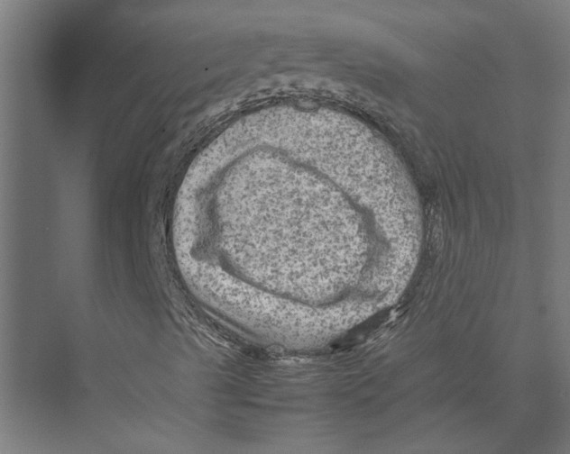 X0000075381489200610061825