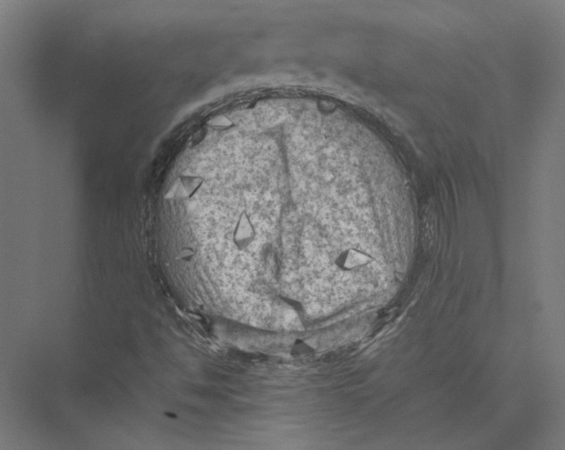 X0000075381494200610061825