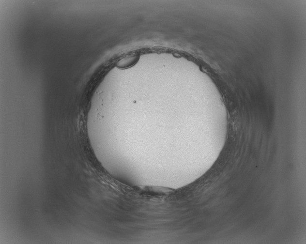 X0000075381495200610061825