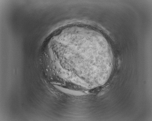 X0000075381496200610061825