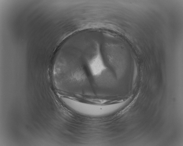 X0000075381497200610061825