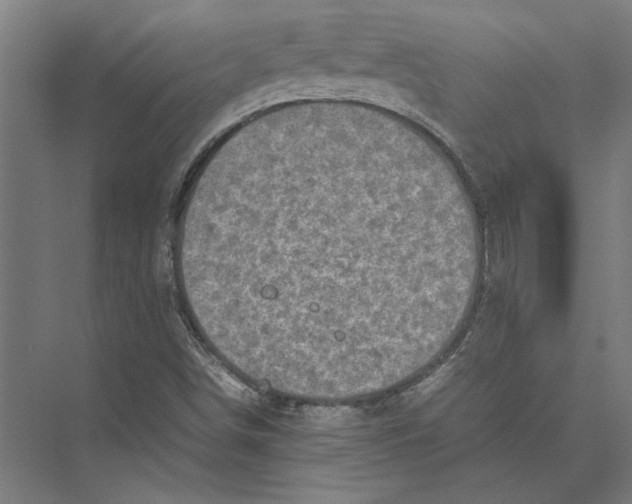 X0000075381498200610061825