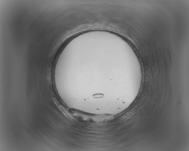 X0000075381499200610061825