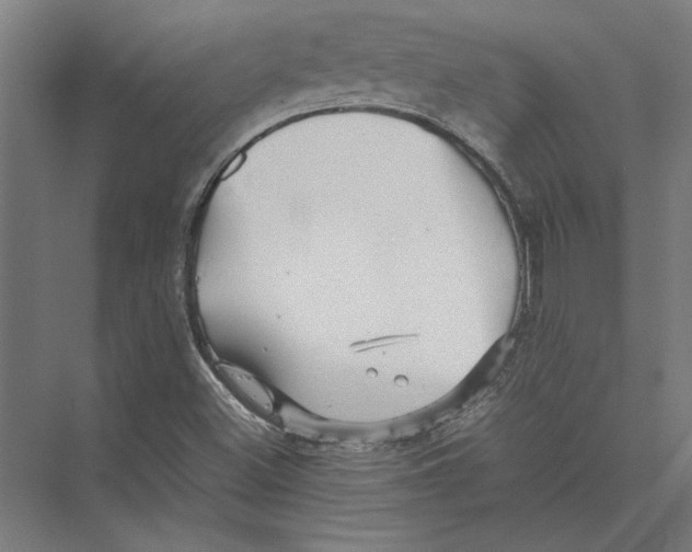 X0000075381500200610061825