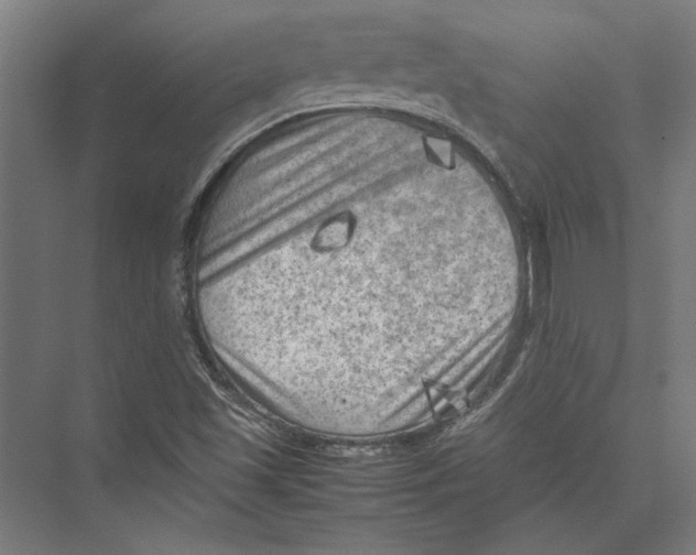 X0000075381501200610061825