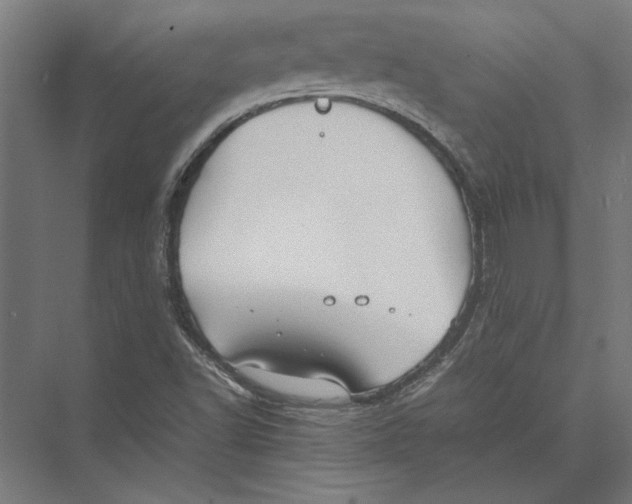 X0000075381502200610061825