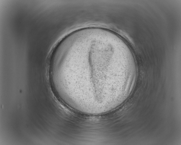 X0000075381504200610061825