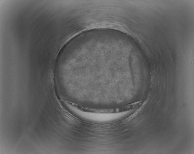 X0000075381505200610061825