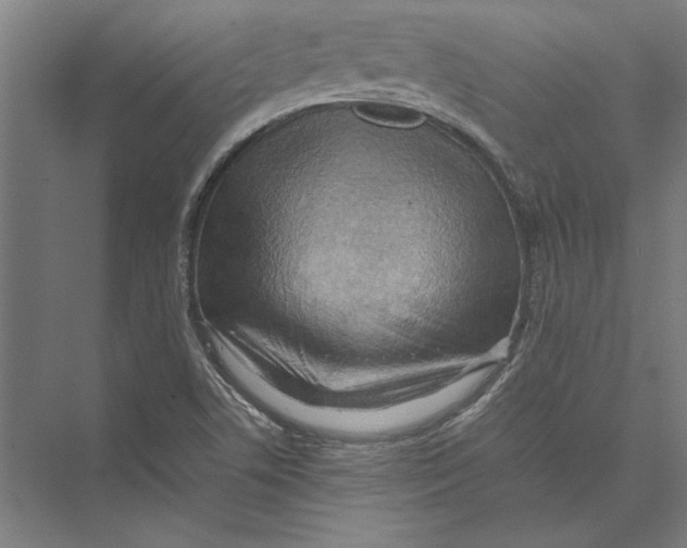 X0000075381506200610061825