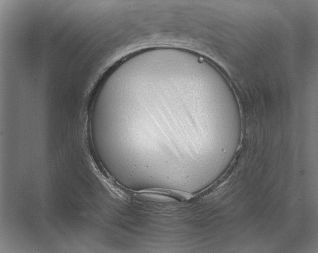 X0000075381507200610061825