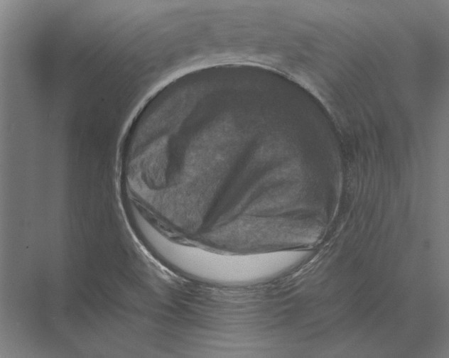 X0000075381508200610061825